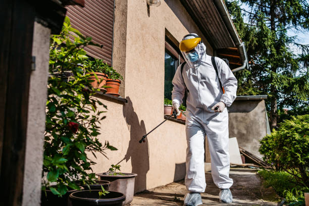 Best Flea Control Services  in Planada, CA
