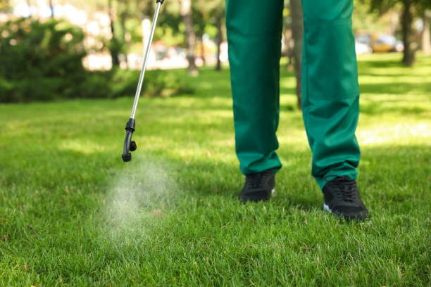 Best Rat Extermination Near Me  in Planada, CA