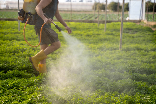 Best Affordable Pest Control Services  in Planada, CA