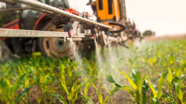 Best Ant Control Services  in Planada, CA